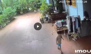 Đã tìm thấy thi thể bé trai 5 tuổi ở Sơn La bị mất tích
