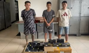Lái ô tô vào kho hàng ở Sân bay Nội Bài lấy trộm 138 máy tính