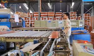 Phát huy vai trò của tổ chức Đảng trong doanh nghiệp