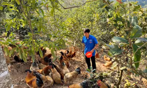 "Chắp cánh" cho thanh niên DTTS lập thân, lập nghiệp