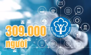 309.000 - là số người tham gia BHXH trên toàn tỉnh, tính đến hết tháng 6/2025