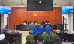 Đưa người xuất, nhập cảnh trái phép