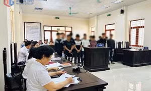 Đẩy mạnh hoạt động hỗ trợ, trợ giúp pháp lý