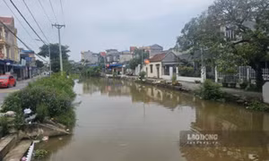 Mẹ ôm con nhỏ nghi nhảy sông ở Ninh Bình