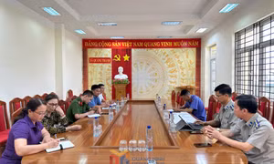 Không để gián đoạn hoạt động thi hành án dân sự
