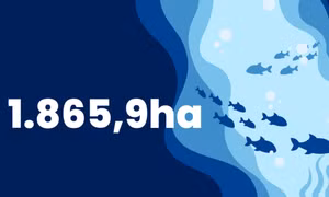1.865,9 ha - là diện tích biển đã được giao để nuôi trồng thuỷ sản trên địa bàn tỉnh