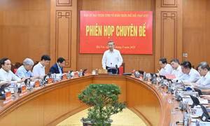 Tích cực rà soát, khẩn trương tháo gỡ khó khăn, vướng mắc do quy định của pháp luật