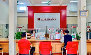 Agribank chi nhánh Đông Quảng Ninh: Đẩy mạnh chuyển đổi số, nâng cao chất lượng dịch vụ