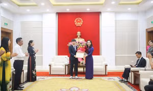 Quảng Ninh thưởng 400 triệu đồng cho học sinh đạt Huy chương Đồng kỳ thi Olympic Tin học Quốc tế