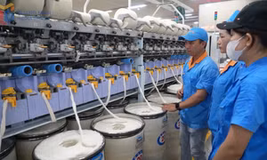Tổ chức Đảng trong doanh nghiệp ngoài nhà nước: Hạt nhân lãnh đạo phát triển bền vững