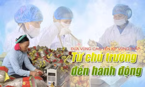 Đưa vùng cao tiến kịp vùng thấp: Từ chủ trương đến hành động