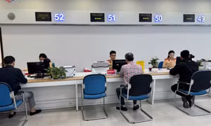 Từ 5/9, giải quyết trực tuyến đối với 100% hồ sơ đổi, cấp giấy phép lái xe