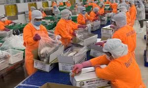 Từ chuyện Việt Nam nhập 'khủng' hạt dẻ cười, hạnh nhân từ Mỹ, bàn giải pháp thuế xuất khẩu