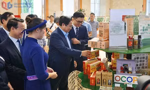  Động lực phát triển sản xuất hàng nội địa