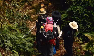 Thử sức trekking xuyên rừng chinh phục đỉnh Sa Mu đẹp như cổ tích