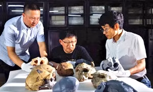 Phát hiện mới về loài người, lịch sử tiến hóa phải viết lại?