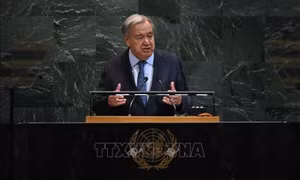 Xung đột Hamas-Israel: Phản ứng quốc tế về kế hoạch hòa bình cho Gaza