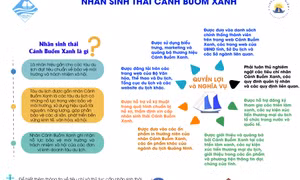 Bộ tiêu chí và thủ tục cấp nhãn sinh thái Cánh Buồm Xanh