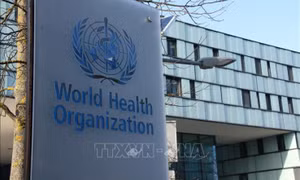 WHO: Ngân sách cho các trường hợp khẩn cấp về y tế năm 2026 rất eo hẹp