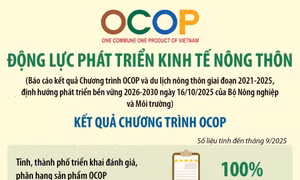 Chương trình OCOP: Động lực phát triển kinh tế nông thôn