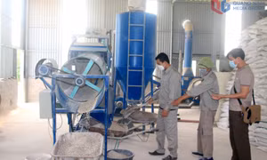Sản xuất hàu sữa theo hướng kinh tế tuần hoàn