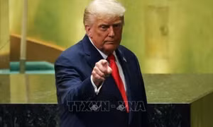 Tổng thống Mỹ kiên quyết kiện The New York Times vì phỉ báng danh dự
