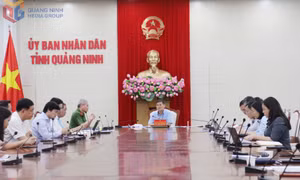 Kiểm điểm tiến độ thực hiện các nhiệm vụ về khoa học công nghệ, đổi mới sáng tạo, chuyển đổi số