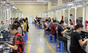Thi đua lập thành tích chào mừng đại hội Công đoàn các cấp