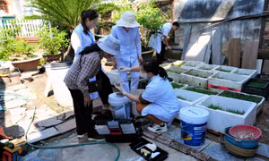 Phòng, chống bệnh sốt xuất huyết