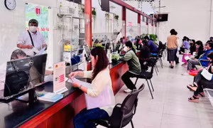 Chính phủ triển khai các giải pháp thực hiện hiệu quả chính quyền địa phương 2 cấp