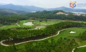 Phát triển xanh bền vững