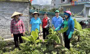 Phát huy vai trò cán bộ mặt trận trong công tác hòa giải ở cơ sở