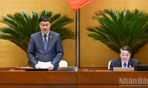 Thúc đẩy động lực tăng trưởng mới, đưa đất nước phát triển nhanh, bền vững