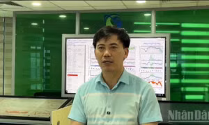 Chuyên gia cảnh báo: Hoàn lưu bão số 11 khá rộng, có thể gây dông, lốc trước khi đổ bộ