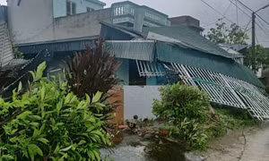 Tăng cường, chủ động phòng ngừa, ứng phó, khắc phục hậu quả thiên tai trên địa bàn tỉnh