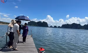 Khảo sát đề tài lĩnh vực nông, lâm, ngư nghiệp, tài nguyên và môi trường