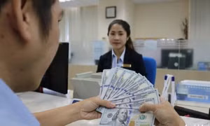 Thanh, kiểm tra hoạt động mua bán ngoại tệ của các tổ chức tín dụng