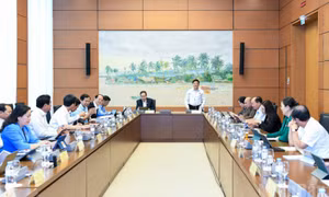 Tăng cường cơ chế thu hút đầu tư, xã hội hóa hạ tầng hàng không