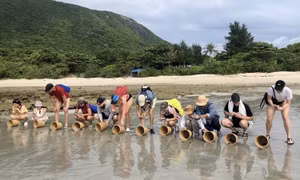 Vườn quốc gia Côn Đảo - hành trình đến “Danh lục Xanh IUCN”