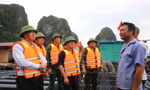 Đặc khu Vân Đồn chủ động các phương án ứng phó với bão số 11