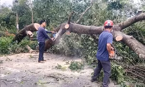 Ủy ban MTTQ Việt Nam tỉnh Quảng Ninh kịp thời hỗ trợ các tỉnh miền Trung và người dân trong tỉnh khắc phục hậu quả bão số 10 – Bualoi