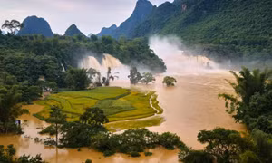 Thác Bản Giốc dữ dội hiếm thấy mùa nước lũ