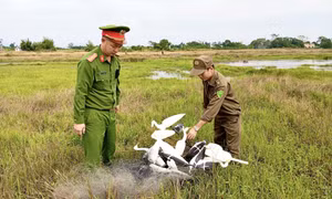 Quảng Hà thu giữ hơn 500m lưới và dụng cụ đánh bắt chim di cư 