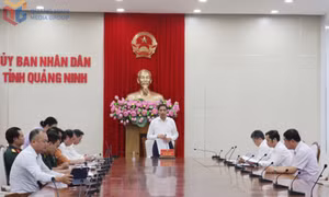 UBND tỉnh họp triển khai nghị quyết của HĐND tỉnh 