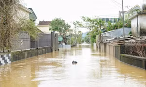 Hỗ trợ từ nguồn dự phòng ngân sách trung ương năm 2025 cho một số địa phương khắc phục hậu quả bão số 10