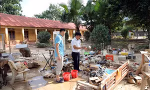 Thủ tướng yêu cầu thống kê thiệt hại do bão số 11 để kịp thời hỗ trợ ngành giáo dục