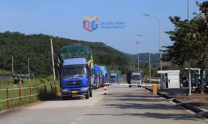Bản tin Quảng Ninh ngày 9/10/2025