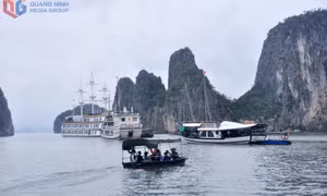 Để mùa thu Vịnh Hạ Long thêm quyến rũ