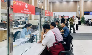 Động lực thúc đẩy kinh tế tư nhân