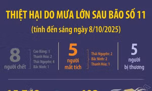 Thiệt hại do mưa lớn sau bão số 11 tính đến sáng 8/10/2025